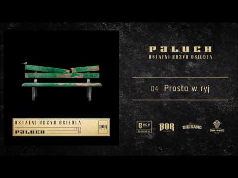 Paluch "Prosto w ryj" prod. The Returners