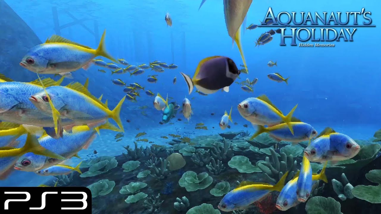 Gameplay Video