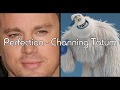 Perfection Channing Tatum Lyrics Smallfoot Soundtrack