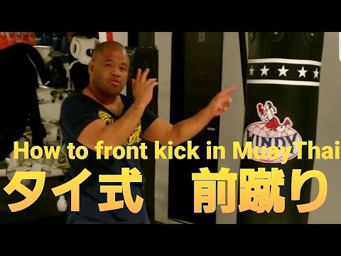 前蹴りの使い方/ムエタイ式 How to do a front Kick/ MuayThai