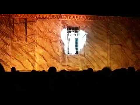 Ali in gabbia occhi selvaggi - (Valentina Coppola e Alessandro Labarbera) Notre Dame De Paris