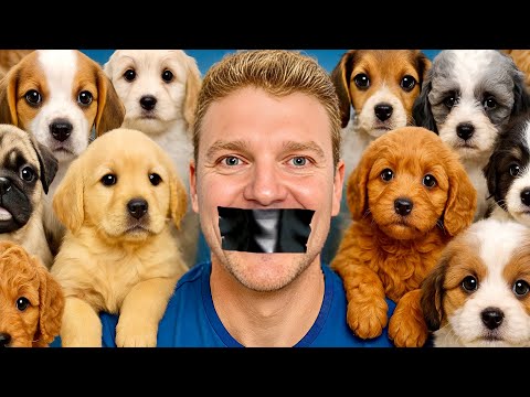 The Problem with Madeira NO ONE Talks About