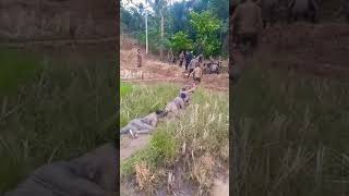 Download lagu Bedanya Pendidikan BANSER VS TNI ⁉️ mp3 Download lagu Bedanya Pendidikan BANSER VS TNI ⁉️ mp3