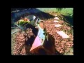 Chicken Gravy Train Commercial 1990 Dogs Making Boc Boc Sounds Like Chickens
