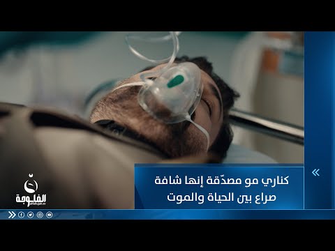 شاهد بالفيديو.. كناري مو مصدّقة إنها شافة صراع بين الحياة والموت