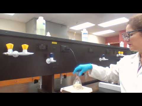CHM2210L Experiment 7 part 1 Resolution of 1 Phenylethylamine