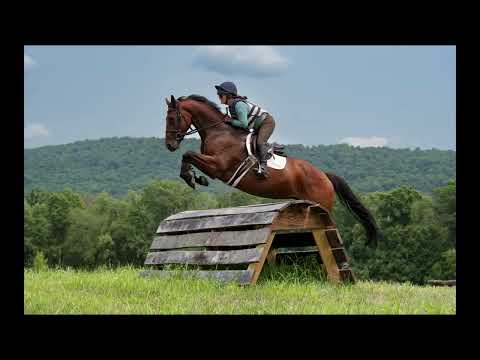 Windchase Secret Star - XC - August 2023