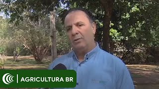 Miniatura do vídeo