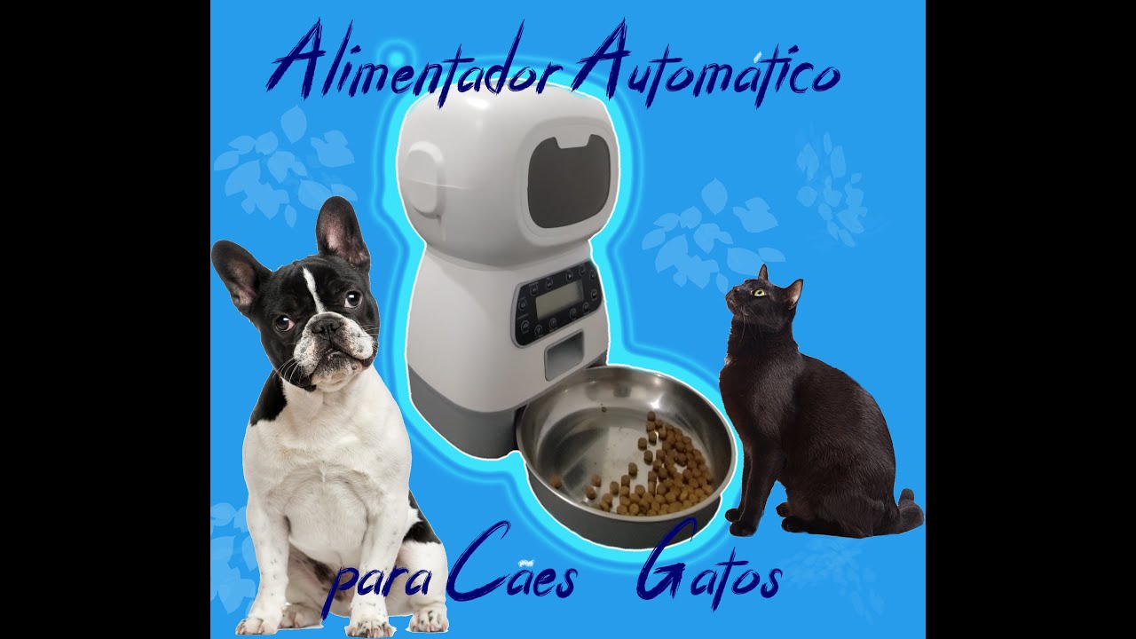 Alimentador (Comedouro) automático para cães e gatos. Vale a pena?