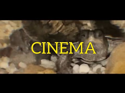 Chrxn - Cinema. Prod. Barnz(Official music video)