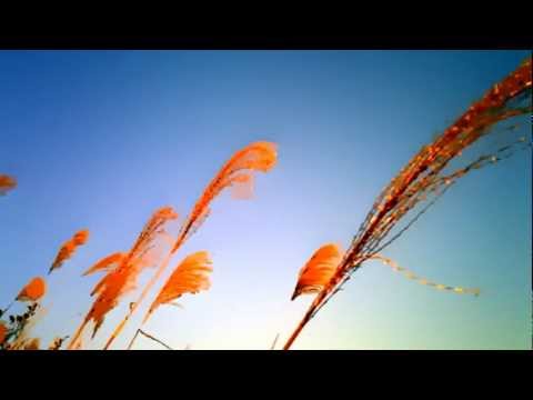 download lagu mp3 mp4 Background Audio Music Mp3 Free Download, download mp3 Background Audio Music Mp3 Free Download free download mp3, download mp3 Background Audio Music Mp3 Free Download