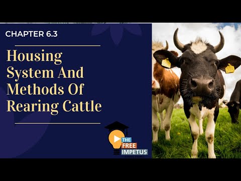 , title : '6.3 Housing system and methods of rearing cattle for vhse lsm students/dfe/livestock inspector psc'