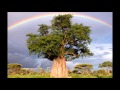 Orchestra Baobab Feat Balla SIDIBE Coumba ...