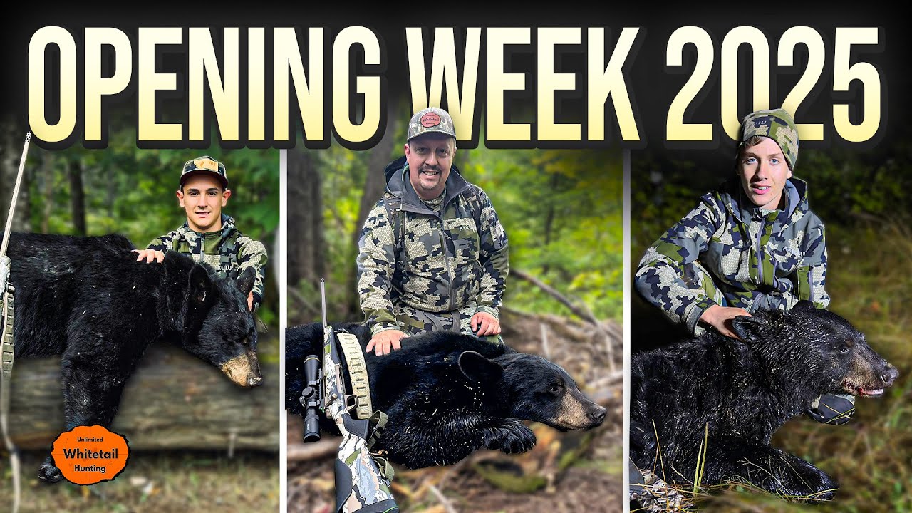 Black Bear Hunting in North Maine Woods w/ Crooked Tree Lodge