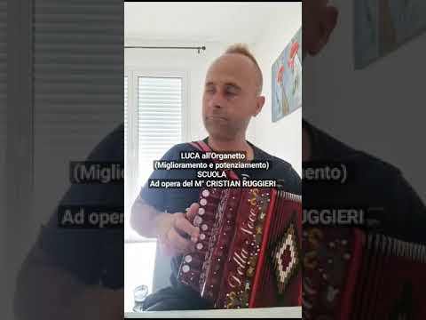 LUCA all'Organetto (SCUOLA ad opera del M° CRISTIAN RUGGIERI) #italy