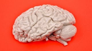 THIS GAME TRAPS YOUR BRAIN