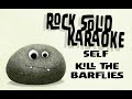Self - Kill The Barflies (karaoke)