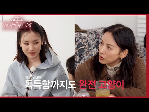 유라 작업실 찾은 이효리! 유라 만나자마자 다짜고짜 “너 고양이지?”🐈 [더 시즌즈-이효리의 레드카펫] | KBS 240126 방송