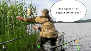Сигнализатор маятниковый для донной ловли