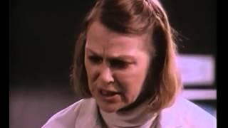88 Films Trailer Park