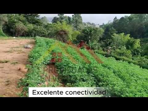 🌿 Lote Campestre en Venta | Chaparral / San Vicente | 2.000 m²