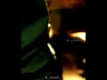 Honeybee 2 Comedy