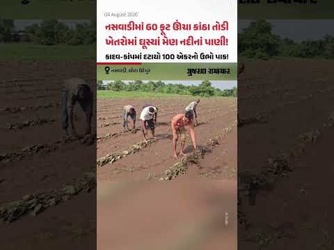 Naswadiમાં 60 ફૂટ ઊંચા કાંઠા તોડી ખેતરોમાં ઘૂસ્યાં મેણ નદીનાં પાણી! કાદવ-કાંપમાં દટાયો 100 એકરનો ઉભો પાક! Naswadiમાં 60 ફૂટ ઊંચા કાંઠા તોડી ખેતરોમાં ઘૂસ્યાં મેણ નદીનાં પાણી! કાદવ-કાંપમાં દટાયો 100 એકરનો ઉભો પાક!