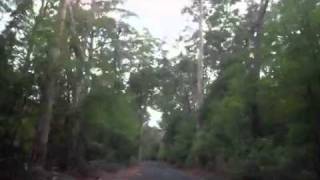 Yesterdays gone - Bernard Fanning