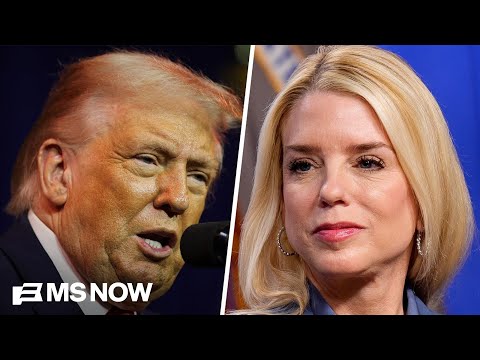 Ty Cobb: 'No accountability' for Trump in his 'narcissistic world'