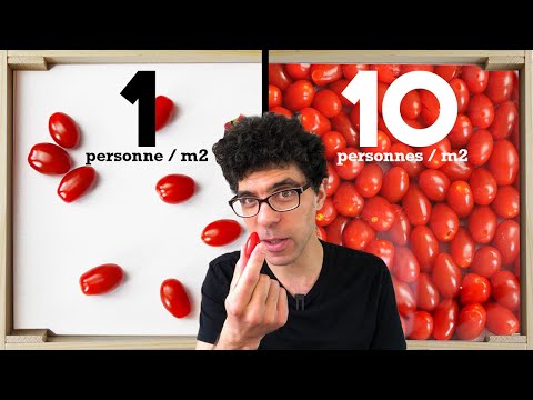 10 niveaux de foule expliqués avec des tomates