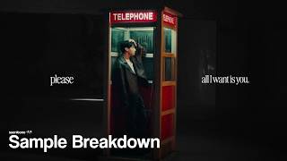 Download lagu the sample in BTS' Please mp3