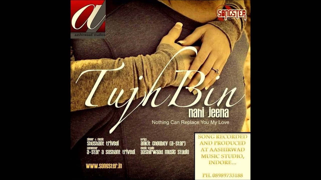 Tujh Bin Nahi Jeena (Title) Lyrics  | Tujh Bin Nahi Jeena | Shushant Trivedi | Sushant Trivedi | Sushant Trivedi