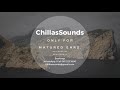 DeNutzSoul ChillasSounds Episode Da Capo Indigo Child 2017
