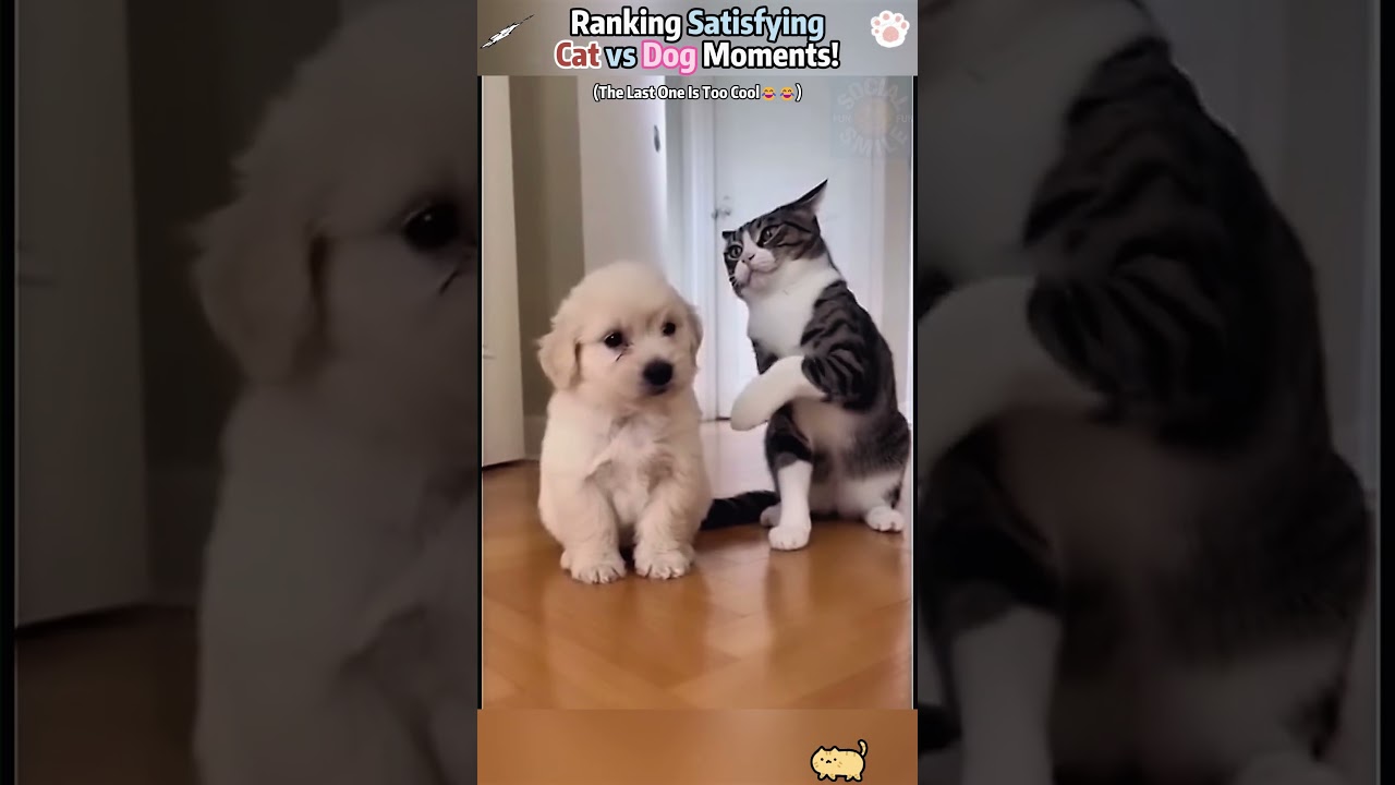 Illustration #tattoo #art #pov #procreate #drawing #whydidntmyexcomeback#digitalart