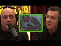 Brazil S Roswell Still A Mystery More Than 25 Years Later