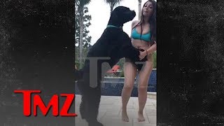 Instagram Model Fires Back in Dog Sexual Assault S