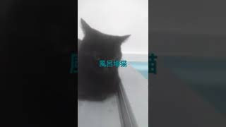 ☆☆☆☆☆☆☆☆☆☆☆☆☆☆