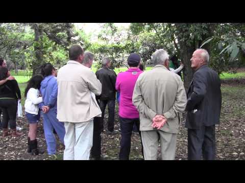 Rondleiding botanische tuin