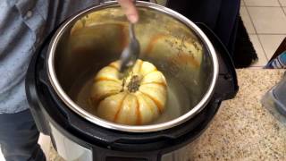 Dogs love Pumpkin?? Instant Pot water pressure test: PUMPKIN EDITION.