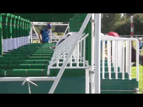 Race (3)   15:00 Doncaster 13 Sep 2024  Racing Carlsberg Danish Pilsner Flying Childers