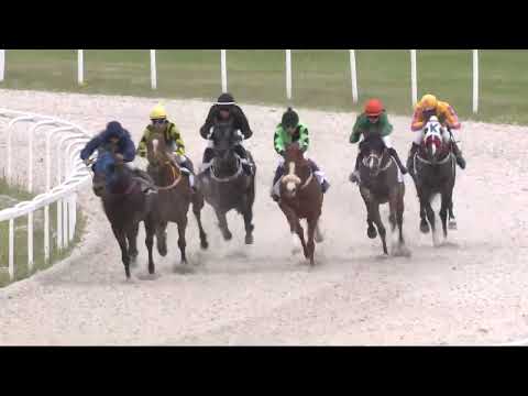 2022.05.29. 02. futam - DUCE HENDIKEP (II.o.) (szintetikus pálya)