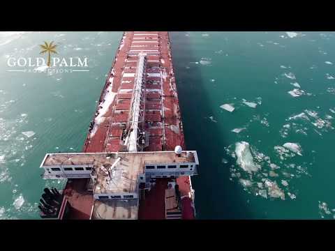 Import/Export Company