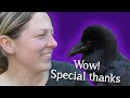 Fable the Raven | A special message from me and Fable!