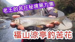 【溪釣苦花】老王的苦花秘境第九集：福山涼亭釣苦花｜蝦皮愛釣魚