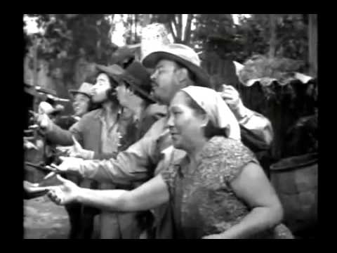 Escuela Para Suegras Tin Tan 480p