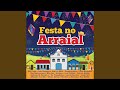 Festa Do Interior