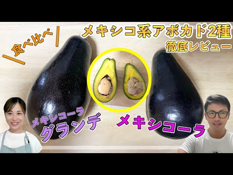 フエルサ・アエレア・メキシカーナについて詳しく解説