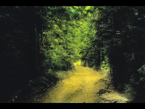 "Przyszła w podwóreczko" - Polish folk song (Skowrońska/Witczyński)