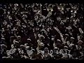 Alabama A M U 1999 Wednesday Lover
