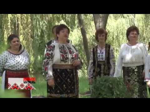 Mariana POPA   Mândre s muscelencele